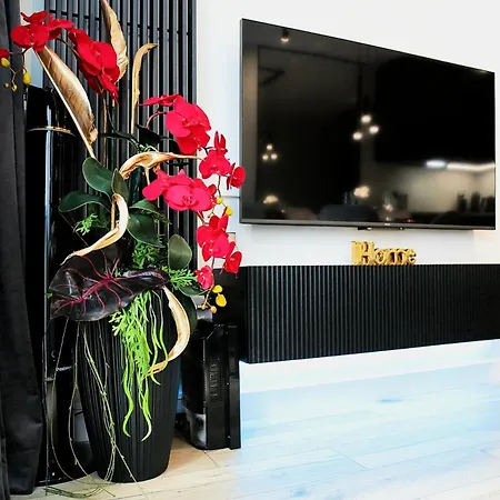 Saint Barbara Gorgeous 3 In The Heart Of Appartement *