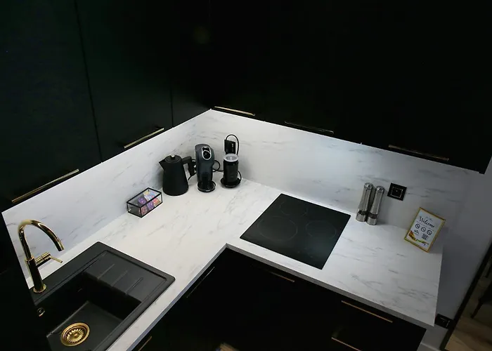 Saint Barbara Gorgeous 3 In The Heart Of Gdańsk